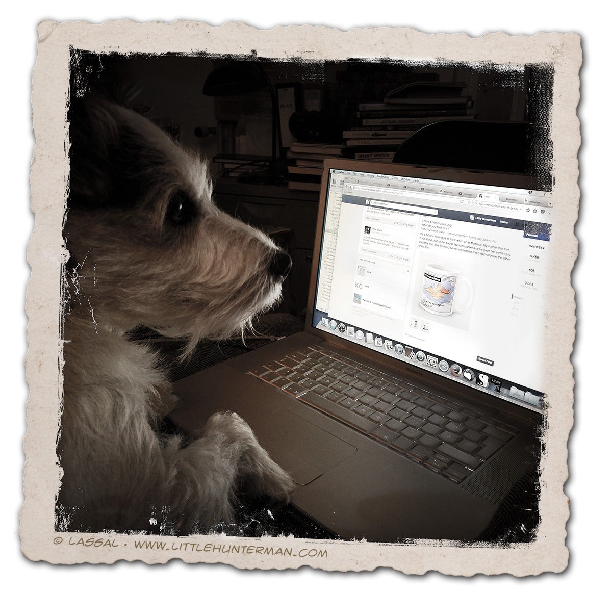 A photo of little Hunterman, the main doggie author of the Little Hunterman series and terrier memoirs, as a blogger.