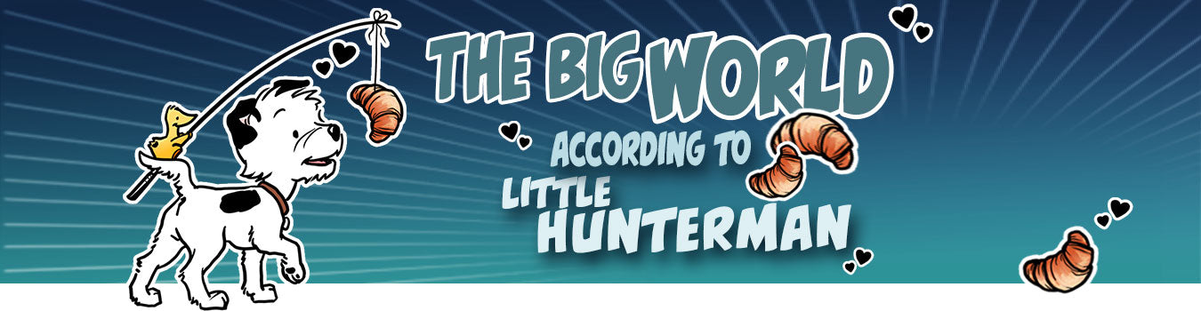 The Big World According to Little Hunterman - Category Header Desktop