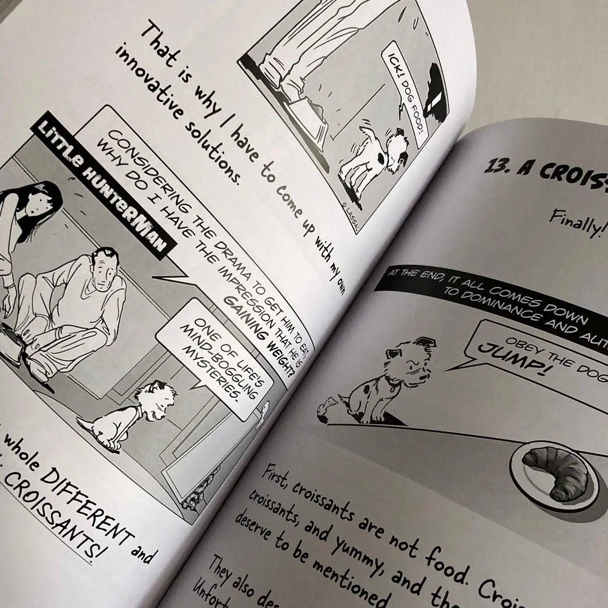 The Big World According to Little Hunterman by Hunter Lassal is a premium edition hardcover with black-and-white illustrations on white, coated paper. This image shows an open book against a light background, giving you an impression of this fun dog memoir's layout and illustration style.