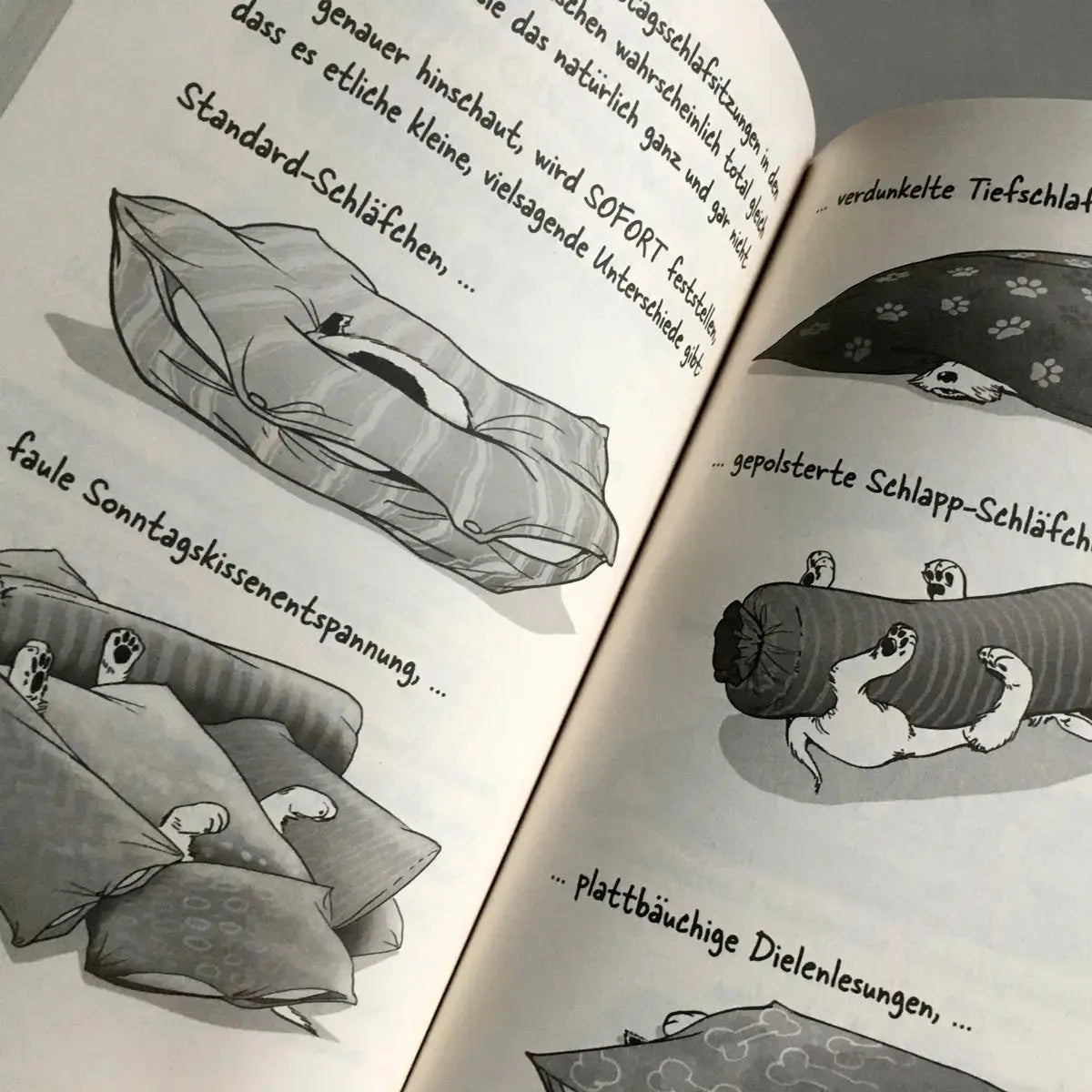 Die große Welt des kleinen Huntermann, die lustigen Hundememoiren eines kleinen Terriers, von Hunter Lassal. Standardausgabe mit Schwarz-Weiß-Druck auf cremefarbenem Papier - Innenansicht