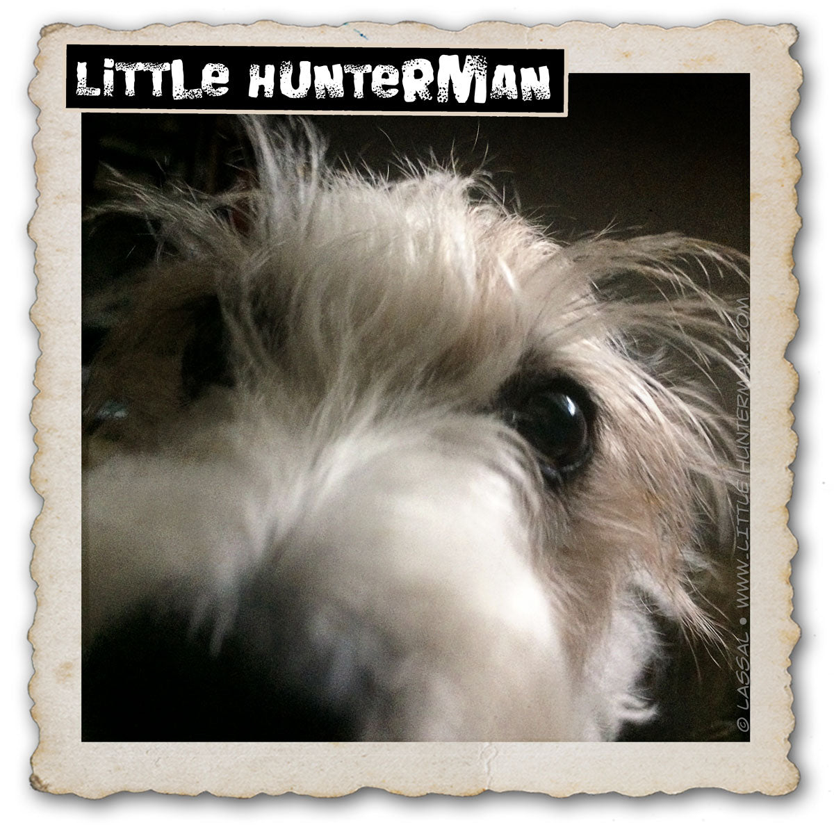 Little Hunterman guarantees that these paperbooks are fully shreadable. Guess how he knows…
