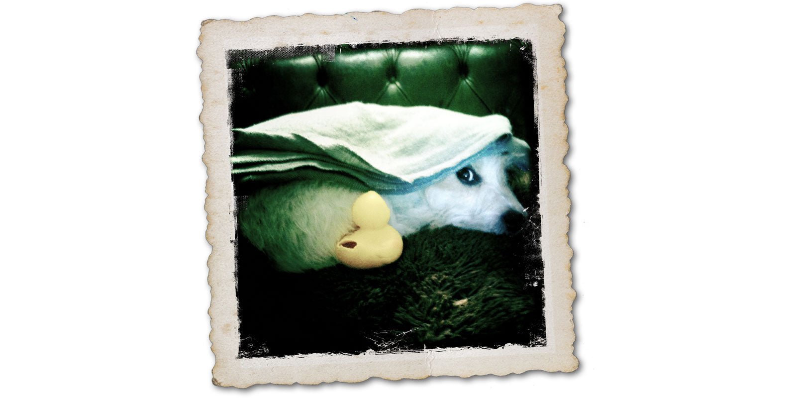 Admiral Flynn van Kwiitsch and Hunter under cover