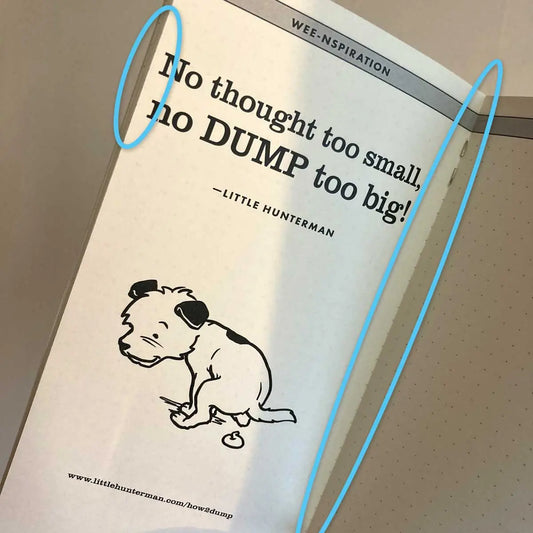 Image shows a dotted "Big Dump Journal" with B-grade status, open on the center spread, with the problematic inner-margin highlighted for the viewer. 