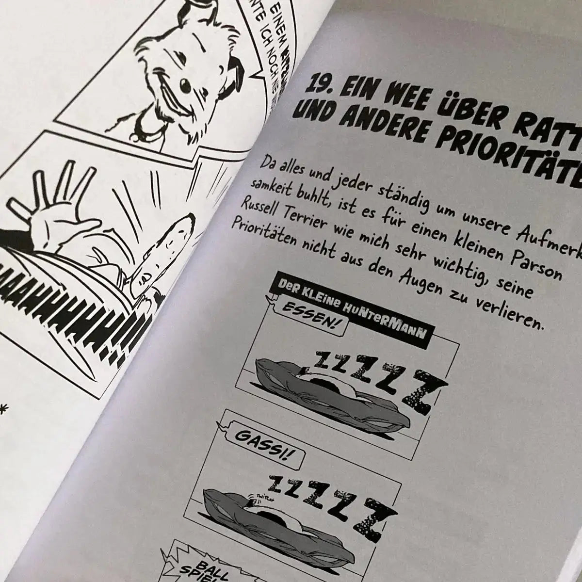 Die große Welt des kleinen Huntermann, die lustigen Hundememoiren eines kleinen Terriers, von Hunter Lassal. Premiumausgabe mit Schwarz-Weiß-Druck auf weißem Papier - aufgeschlagenes Buch mit Contentansicht auf hellem Hintergrund