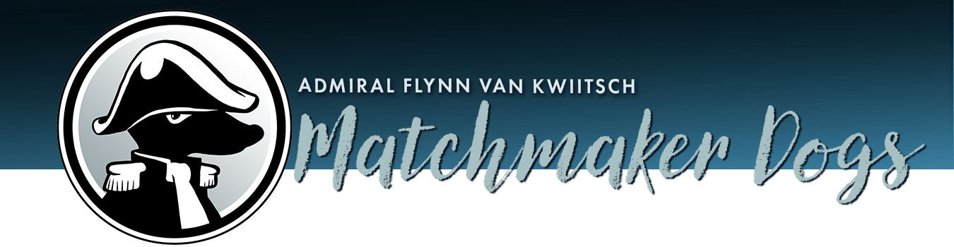 The desktop version of the Admiral Flynn van Kwiitsch Matchmaker Dogs category featured image 