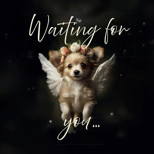 One of Flynn's 'Guardian Angel Dog' greeting card designs. Each card comes with an envelope. Detail with "Waiting for you…"