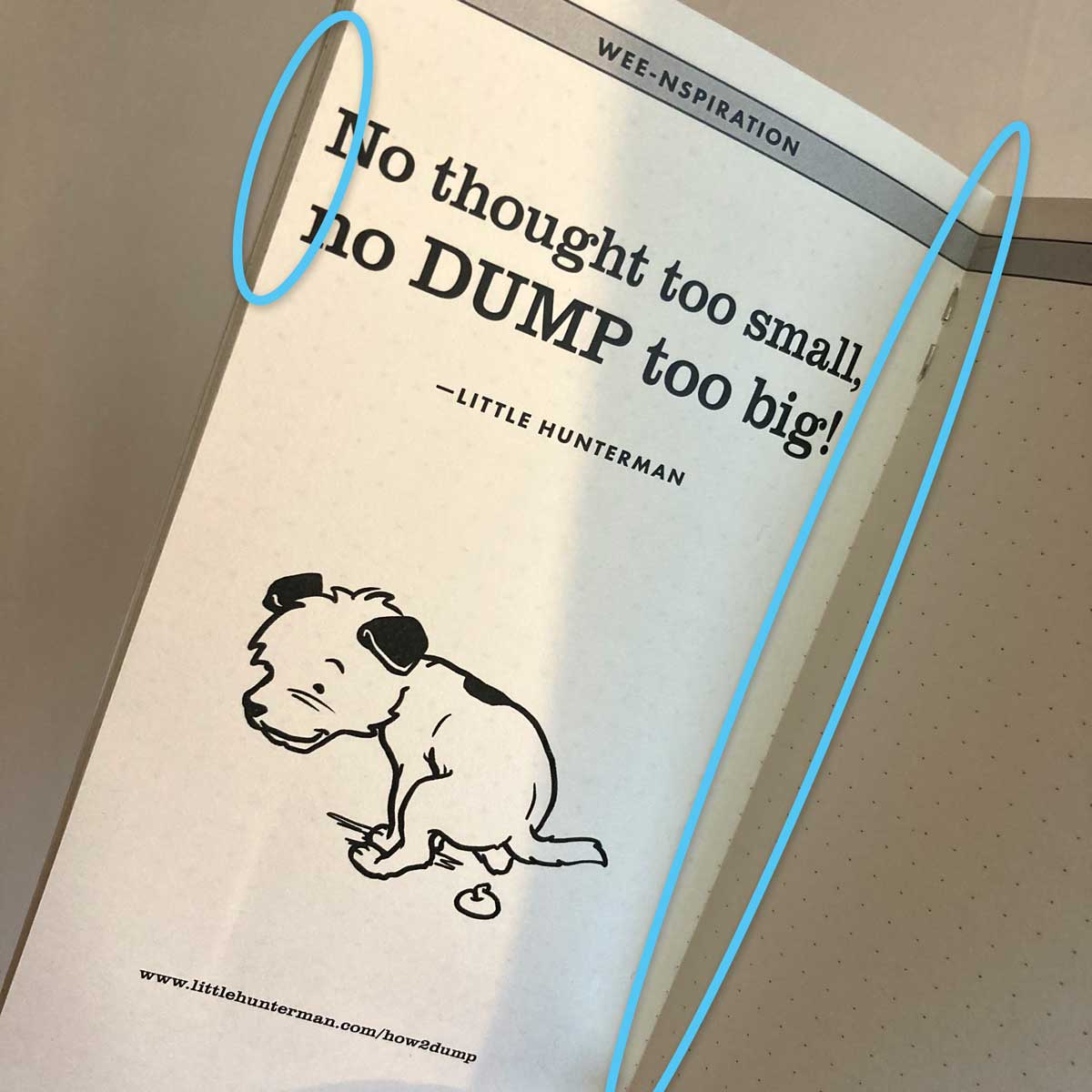 Image shows a dotted "Big Dump Journal" with B-grade status, open on the center spread, with the problematic inner-margin highlighted for the viewer. 