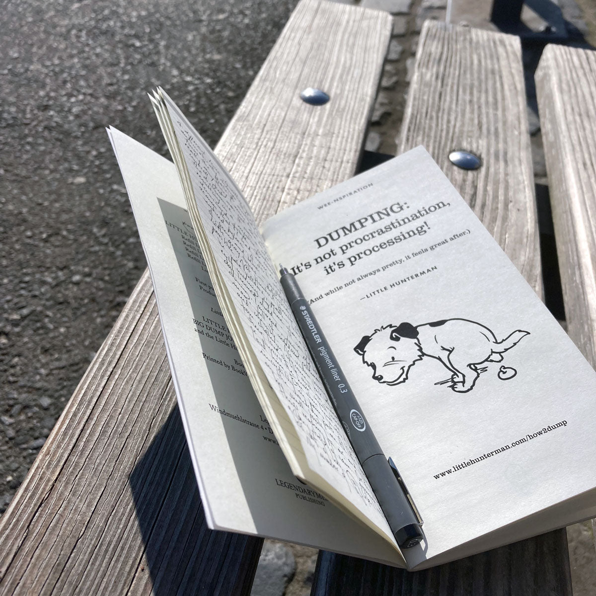 Use the BIG DUMP Journal whenever you feel the need. 
