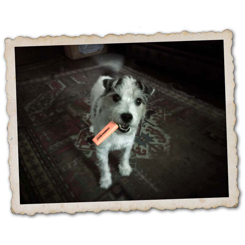 Little Hunterman is already working on his next book. The picture shows him in his full-editor mood.